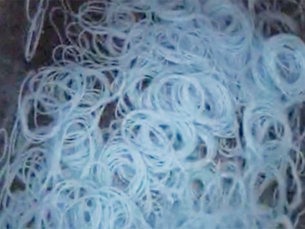 O型圈 防水油视频展示