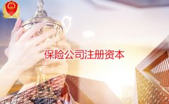 保险公司注册资本